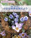 簡単・毎年咲く!小さな球根を植えよう