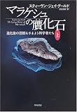 4152086858