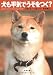 犬も平気でうそをつく?