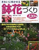���ꂢ�ɍ炩���锫�ԂÂ���120��\1�N���A�h�������狅���A���A�ϗt�A���܂�