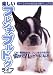 �ڤ����ե������֥�ɥå��饤�ա����٤Ƥ��狼�봰������ޥ˥奢��