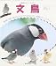 伊藤 美代子: 小動物ビギナーズガイド 文鳥