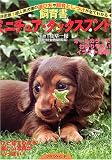 ���珑�E�~�j�`���A�E�_�b�N�X�t���h