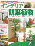 �C���e���A�ϗt�A���\�u���ꏊ�E�����E�B�₵�����킩��