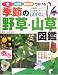 季節の野草・山草図鑑―色・大きさ・開花順で引ける