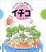 バケツ畑で野菜づくり イチゴ
