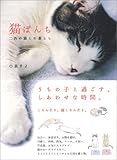 猫ぱんち―二匹の猫との暮らし