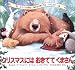 クリスマスにはおきててくまさん