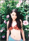 末永遥 2004年度カレンダー