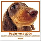 HCL-722 THE DOG�_�b�N�X�t���h�J�����_�[