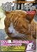 猫川柳 純情編     タツミムック
