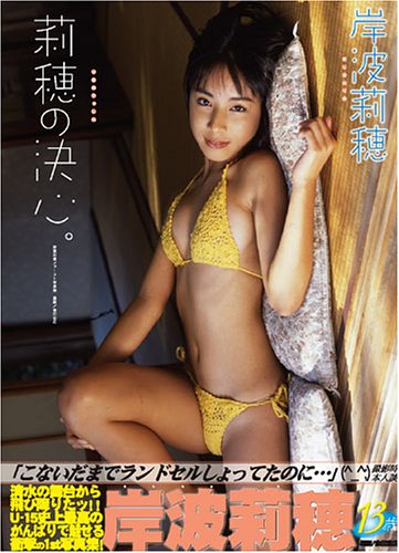 �������̿��������η迴��