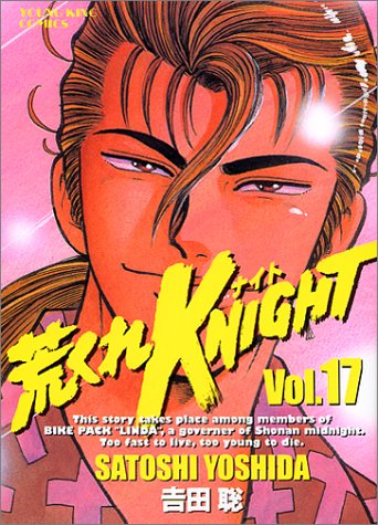 �Ӥ���KNIGHT (17)