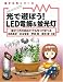 光で遊ぼう!LED電飾&蛍光灯―電子工作が初めてでも作って学べる (電子工作シリーズ)