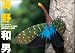 海野 和男: デジタルカメラで撮る海野和男昆虫写真 -wild insects-