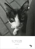 ちいさな宝物―三毛猫さくらの成長日記