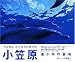「小笠原【遙か南の蒼海】」の詳細情報を見る