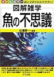 魚の不思議