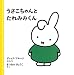 うさこちゃんと たれみみくん (ブルーナの絵本)