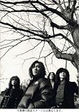THE YELLOW MONKEY 「15YEARS」