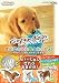 nintendogs�ޤ��ˤ������̤Ȥ��ä���!�������Ф󤳤��̤Ȥʤ��褯�ʤ�ۤ�