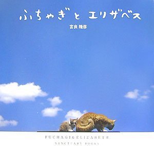 �դ��㤮�ȥ��ꥶ�٥�(DVD�դ�)