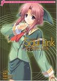 Soul Link�A���\���W�[�E�m�x��