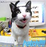 hatch!!!¤Ï¤Ã¤Á¤ã¤óÆüµ 4 (4)