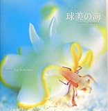 球美の海―ベジタブルフィールドの住人たち 川本剛志写真集