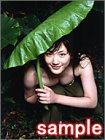 �����Ϥ뤫�������� 2003