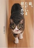 猫、ただいま留守番中