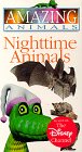 Amazing Animals - Nighttime Animals