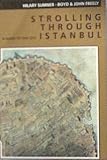 Strolling Through Istanbul