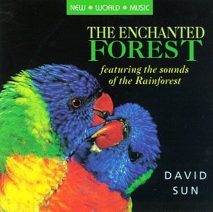 The Enchanted Forest