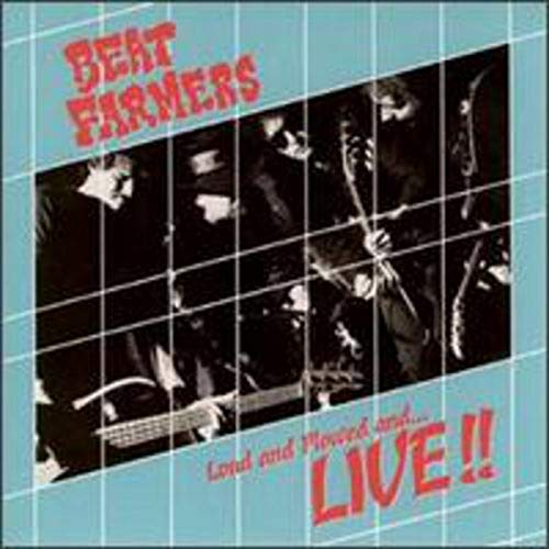 BEAT FARMERS - HAPPY BOY Lyrics - Zortam Music