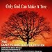 Only God Can Make a Tree