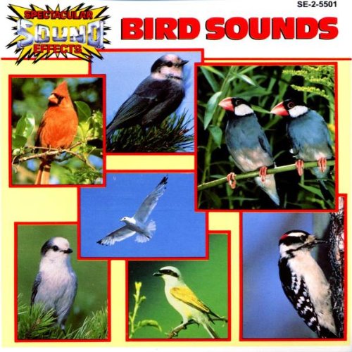 Bird Sounds