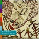 Digging in the Dirt CD SINGLE by Peter Gabriel