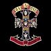 GUNSN'ROSES - 