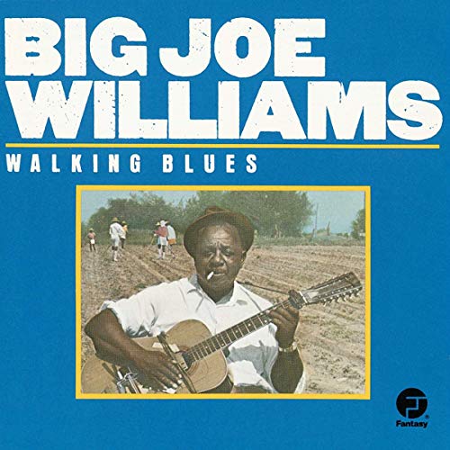 Big Joe Williams - Walking Blues - Zortam Music