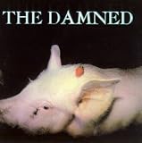 Strawberries by Damned
