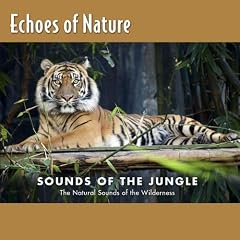 Echoes of Nature: Jungle Talk