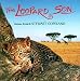 The Leopard Son