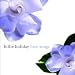 Love Songs