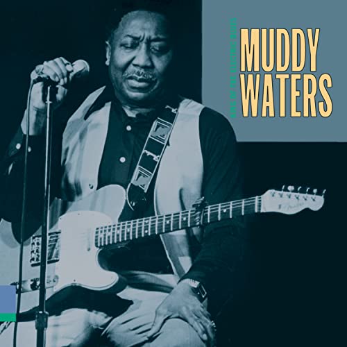 Muddy Waters - King of the Electric Blues - Zortam Music
