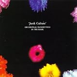 Junk Culture