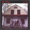 Only Life by The Feelies