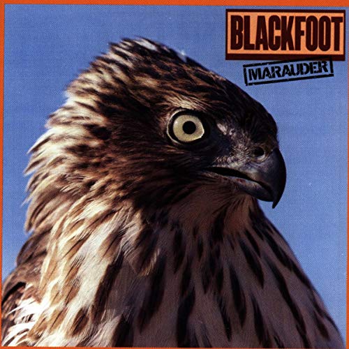 Blackfoot - Marauder - Zortam Music
