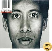 Gray Race by Bad Religion
