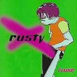 Fluke